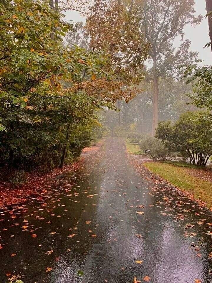 autumn girl tweet media
