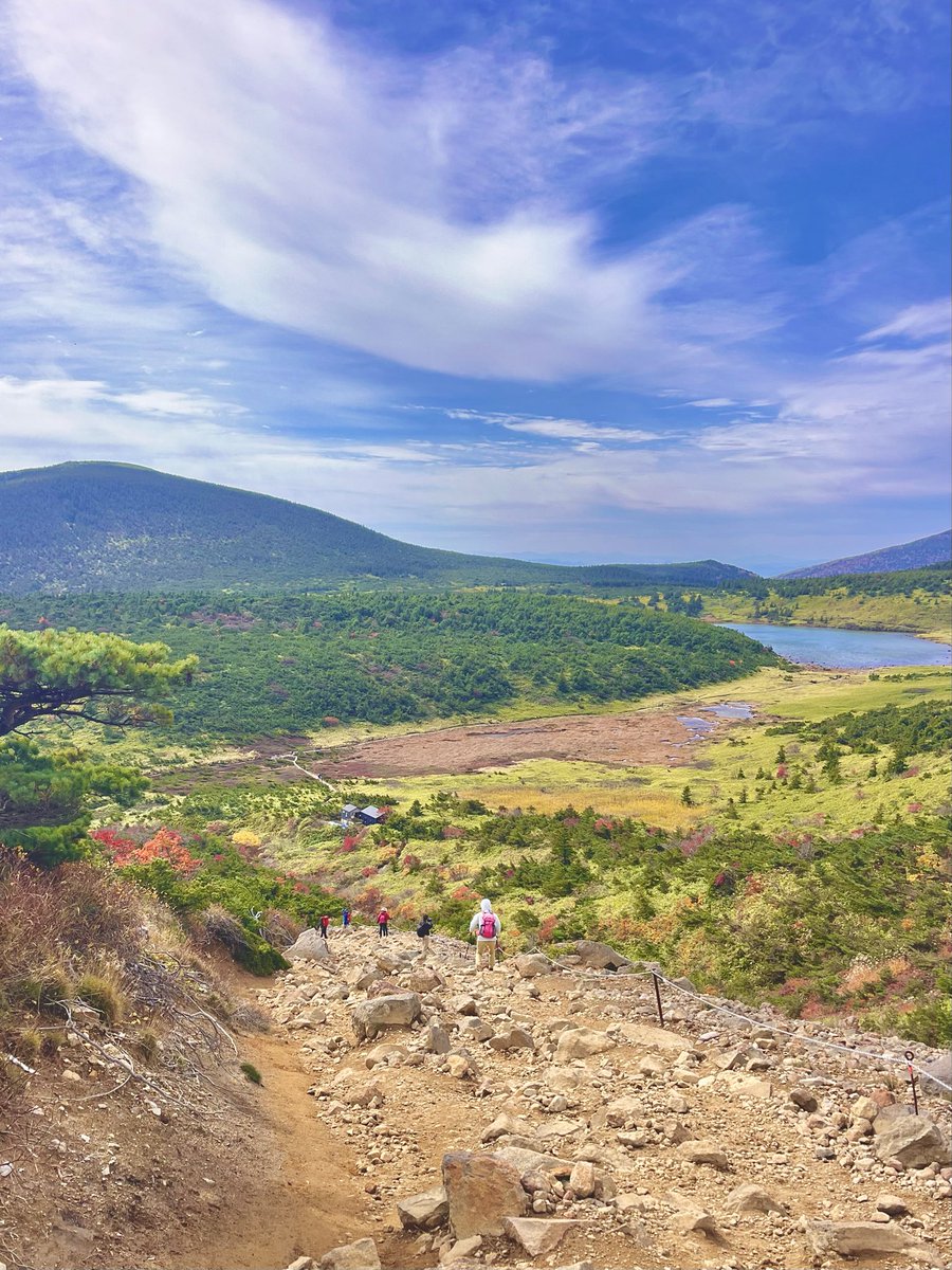 RUN (@run474) / Posts / X