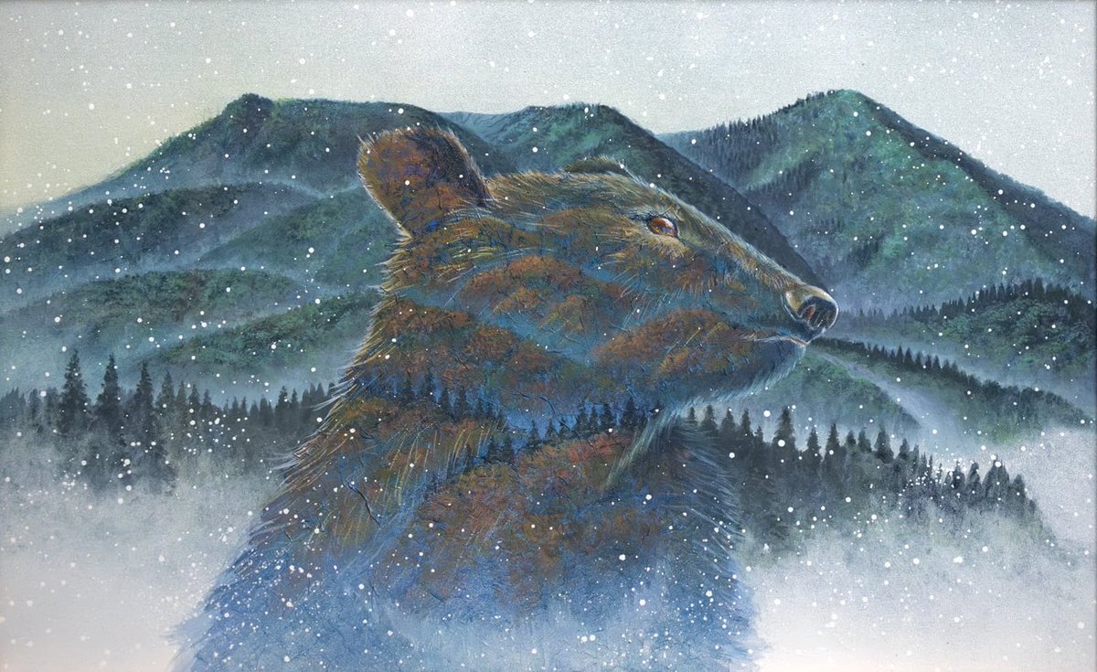 永沢 碧衣 Aoi NAGASAWA on X