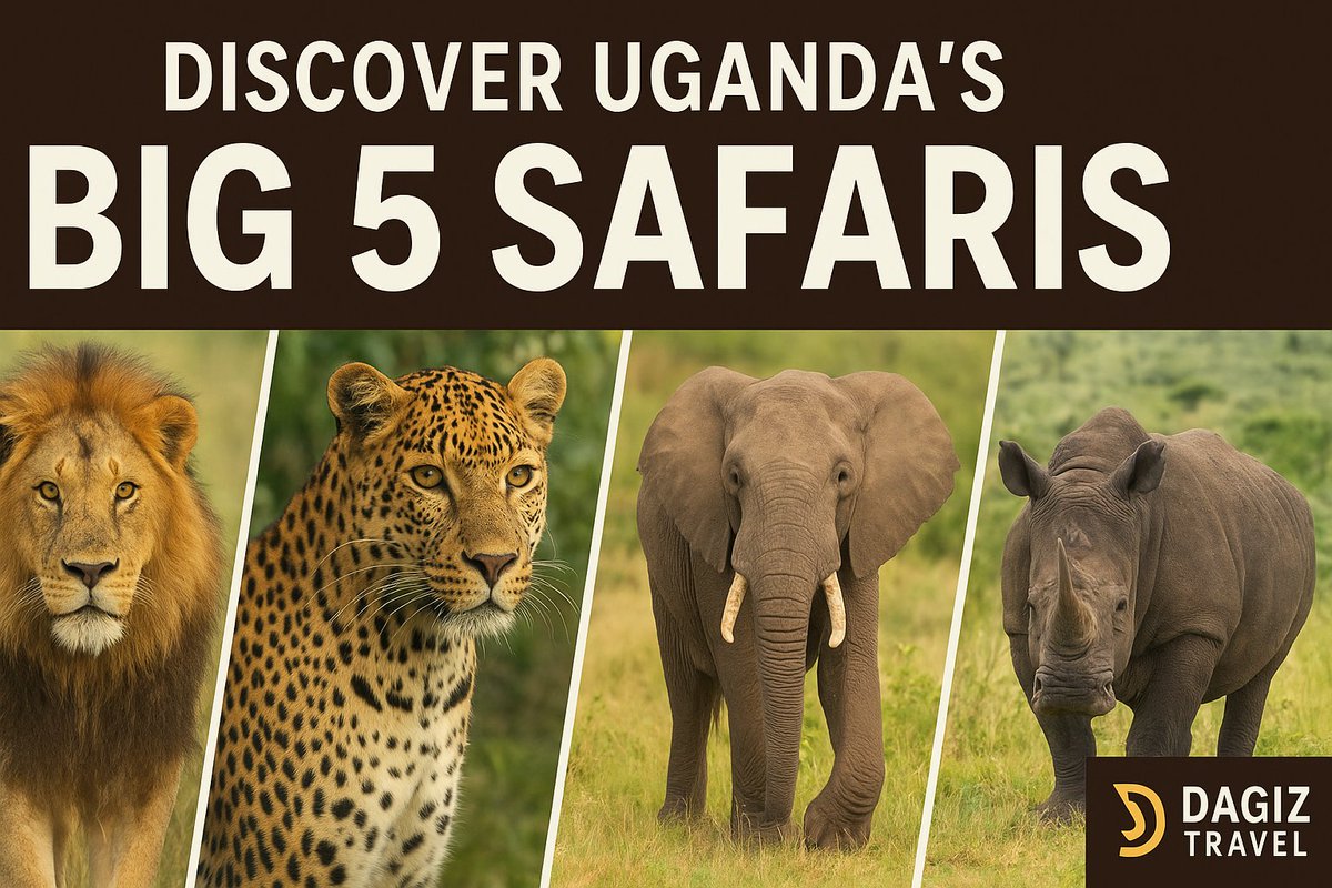 DagizTravel's tweet photo. Uganda’s wild heart beats with the rhythm of the Big 5 — Lion, Leopard, Elephant, Buffalo &amp; Rhino 🐾

Join us this week as we explore where to find them, how to see them, and why Uganda is your next Big 5 safari destination! 🌍
#DagizTravel #UgandaBig5 #ExploreUganda https://t.co/BoJviazNaE