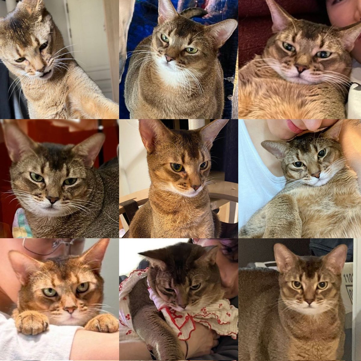 ลีออนตอนอ่าน