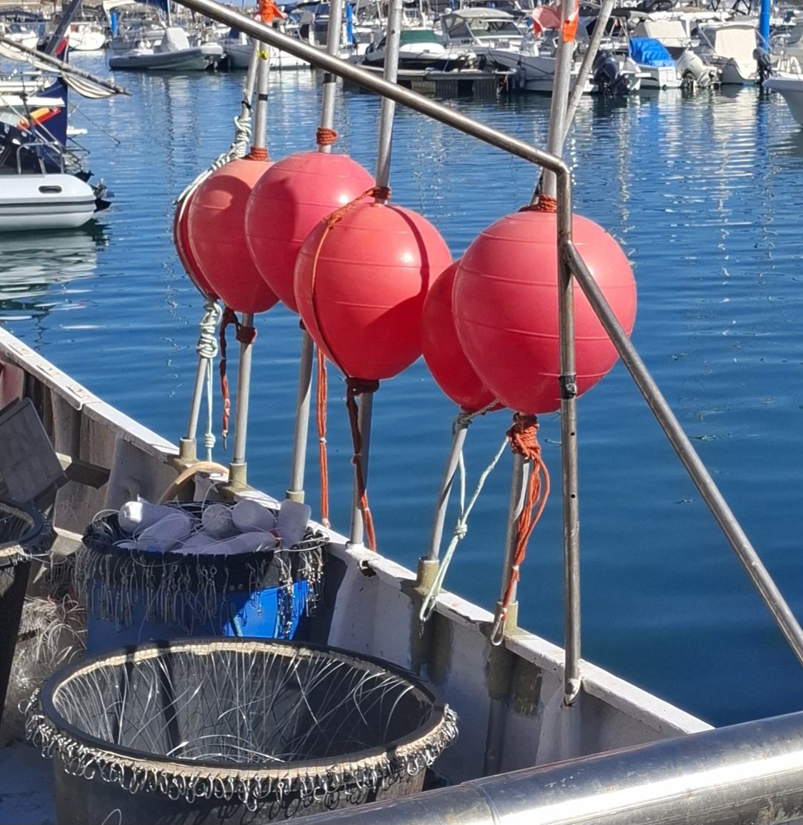 estevevalls's tweet image. Goig de ser a casa.
Portus Veneris
28/10/25