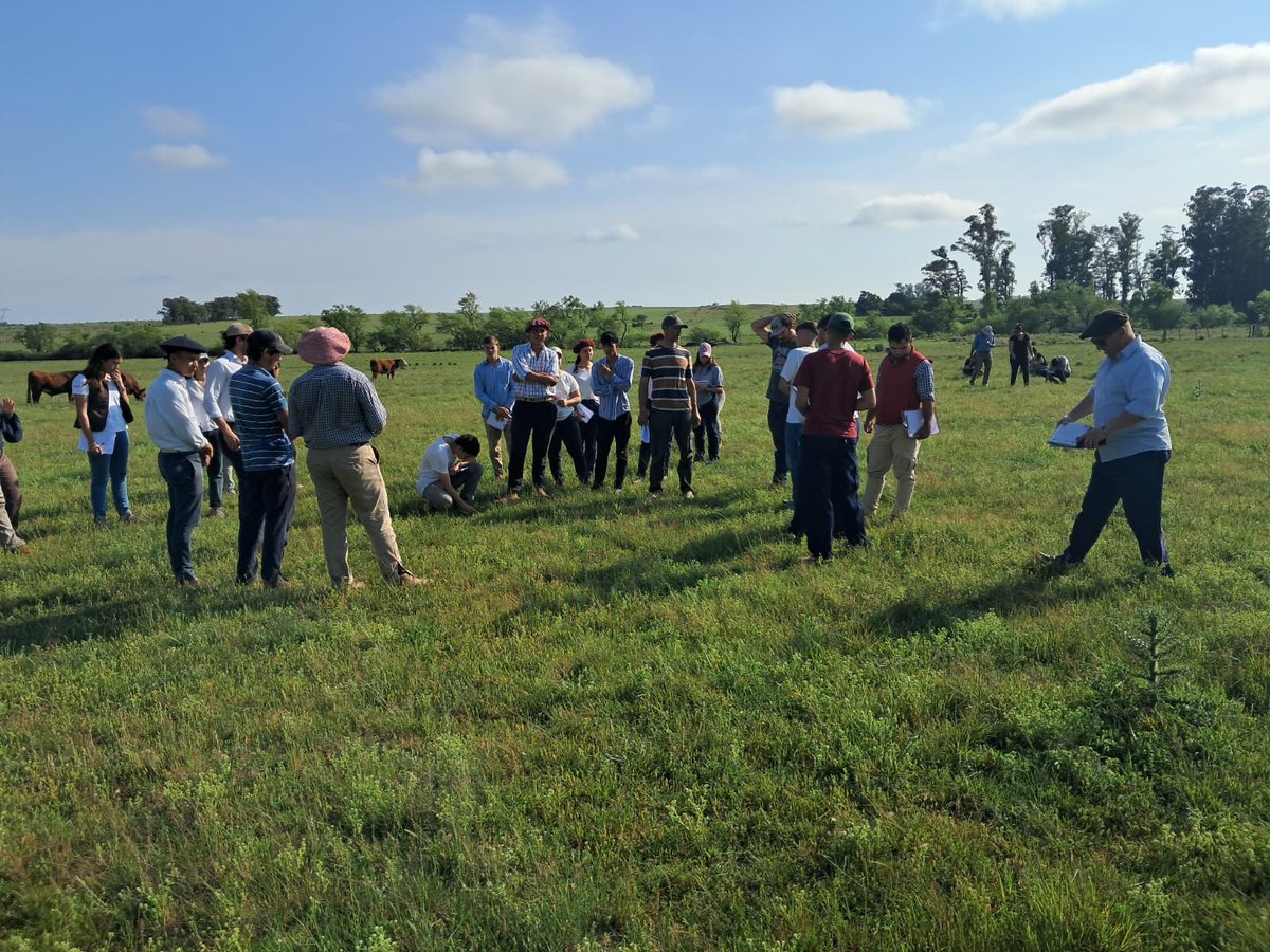 PlanAgro's tweet photo. En📍Chapicuy, Paysandú
Visita a 📌#ProductorAsociado Hernán Oborsky, con estudiantes del Polo Educativo Tecnológico de Paysandú #DGETP @UTU_Uruguay 🗓️18/10
➕🖼️👉 https://t.co/xWMMQIIU9E
Ing. Rómulo Cesar #PlanAgro
#Capacitación #Ganadería #Campo https://t.co/tM9YyQTUFB