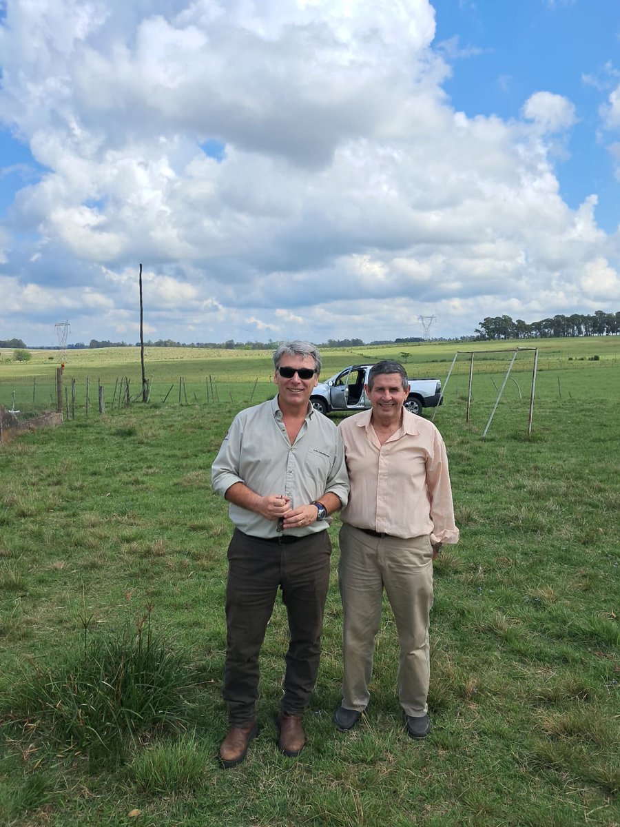 PlanAgro's tweet photo. En📍Chapicuy, Paysandú
Visita a 📌#ProductorAsociado Hernán Oborsky, con estudiantes del Polo Educativo Tecnológico de Paysandú #DGETP @UTU_Uruguay 🗓️18/10
➕🖼️👉 https://t.co/xWMMQIIU9E
Ing. Rómulo Cesar #PlanAgro
#Capacitación #Ganadería #Campo https://t.co/tM9YyQTUFB