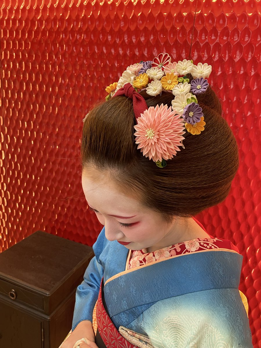 菊の簪がとっても似合う史津乃ちゃん🏵️
来月の簪はなんでしょう？乞うご期待！