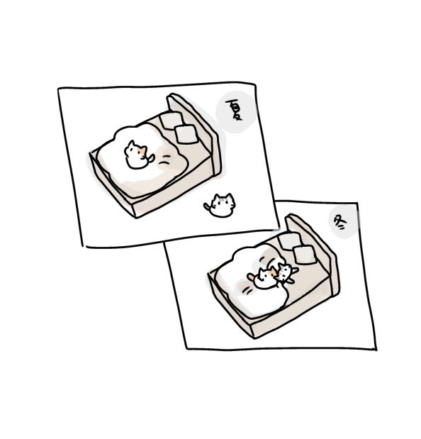 冬が好き
くっついて寝てるにゃ🐱🐱
 #ゆるいイラスト  #イラスト