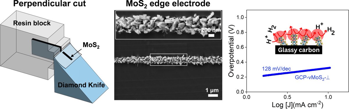 radhaboya's tweet photo. Pleased to share our latest work on precision-engineered #MoS2 edges for the hydrogen evolution reaction (HER)! 🚀@ankitbhardwaj93 @AbdulghanIsmail @kv_saurav and co-authors @angstrofluidics
🔗 https://t.co/KsQ8aYsU3H https://t.co/NoLUcg508A