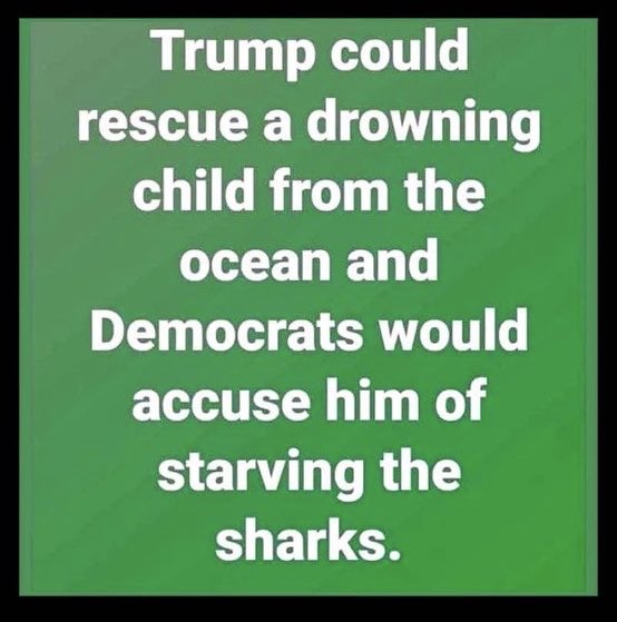 Kelley Engstrom tweet media