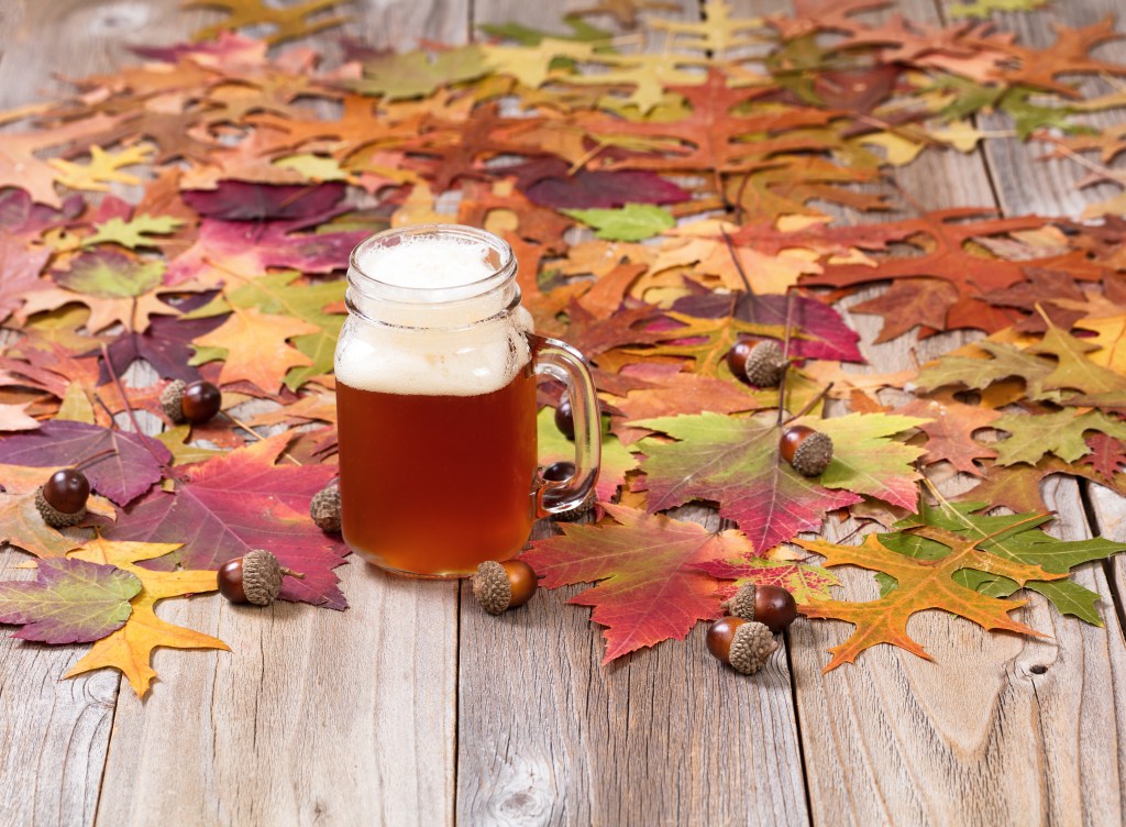 🍻 Crisp Days ,Chilly Nights and Great Local Beer! - mailchi.mp/13716292f863/2…