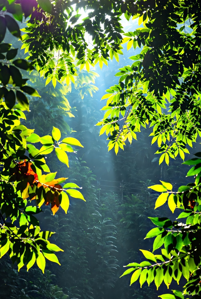 Blackwelltt8134 | ❤️ Memecoin (@blackwe94464659) on Twitter photo 