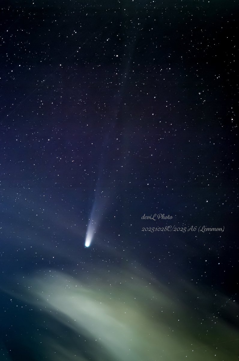 今日も捕獲できました。
部屋の中から撮影笑笑