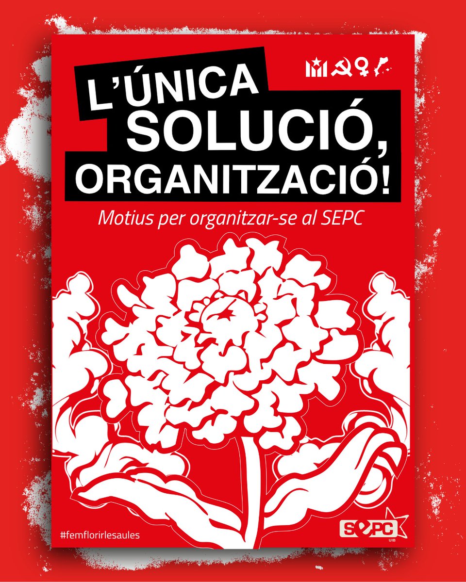 SEPC UIB tweet media