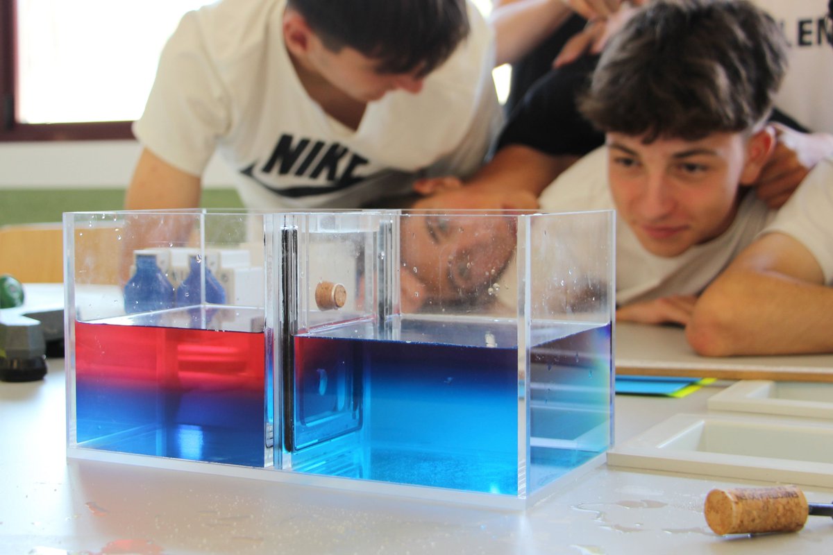 CSIC Divulga tweet media