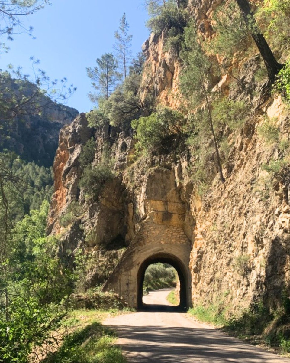 📍 Pedaleando por caminos tradicionales, bordeando el Zumeta y escuchando el rumor de barrancos como Aguas del Buitre o el Gorgollitas, descubrirás que esta Sierra no se recorre solo con las piernas: se siente en el pecho.

🔗 es.wikiloc.com/rutas-gravel-b…