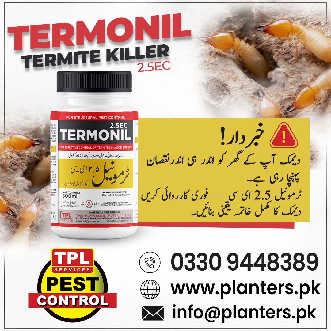 TPLPestControl's tweet image. دیمک آپ کے گھر کو اندر ہی اندر نقصان پہنچا رہی ہے! 
Use Termonil

📞 Call: 0512303380
🌐 website: planters.pk/l/
our daraz store: daraz.pk/shop/gsyzdz7m
#TPLPestControl #ZincForPlants #MicronutrientFertilizer #HealthyCrops #BetterYield #FarmingSolutions #PlantNutrition