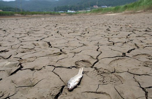 그리다가 너무 슬퍼짐
일러 하나로 19년을 우렸는데 하나만 더 주면 안 되냐 19년 또 버틸테니까