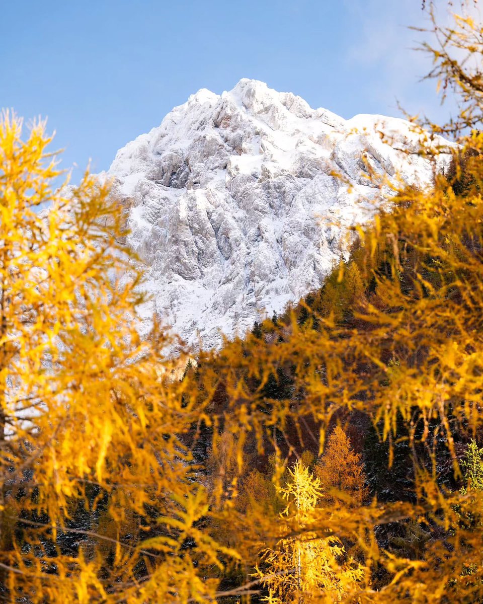 Autumn colors are everywhere 🥰
Photo by 📸 <a href="/simonzupan/">simon zupan</a>