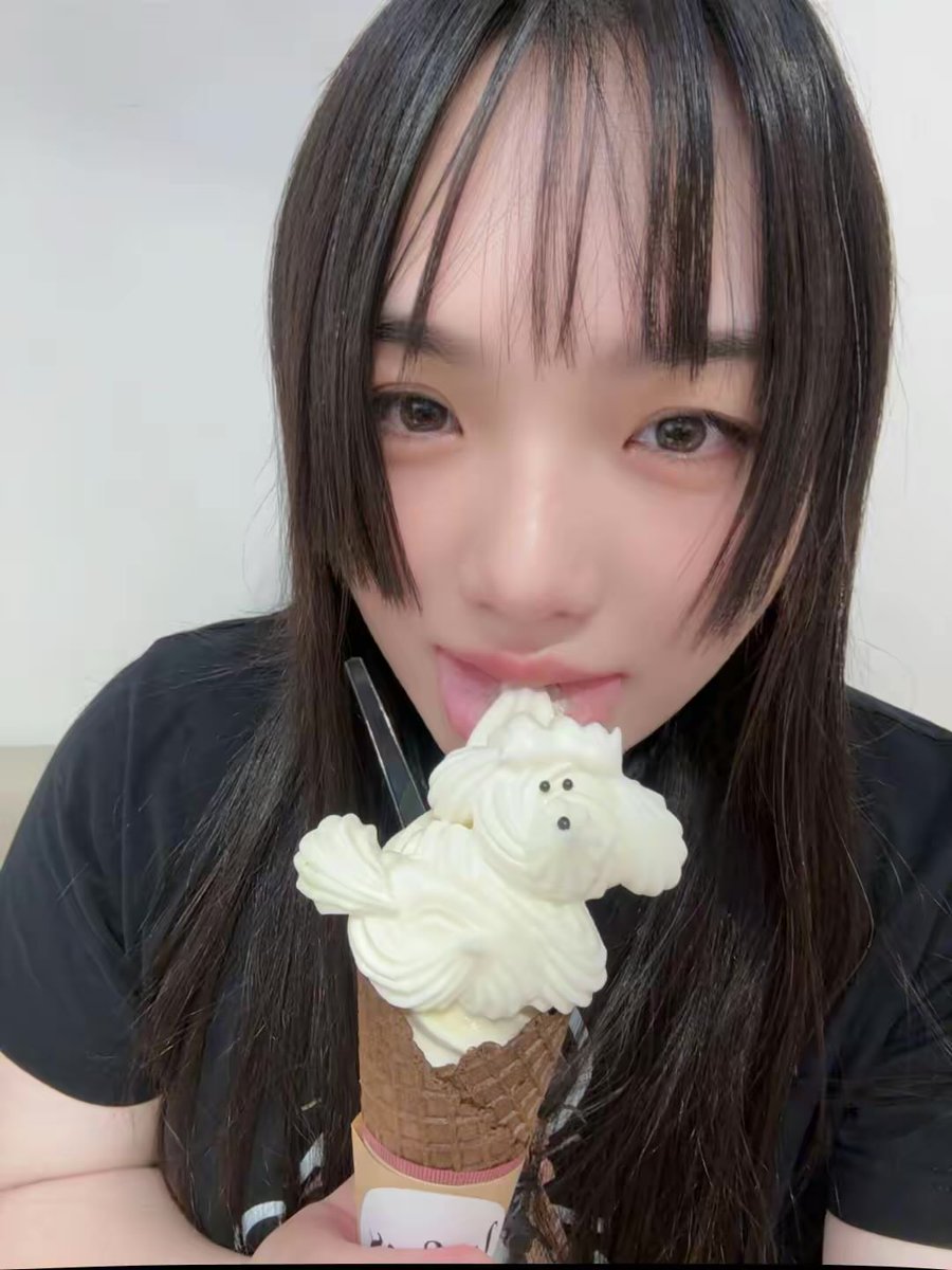 いぬつきソフト！