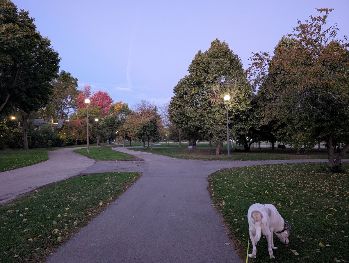 We have found a new home, and settled in, and I find myself constantly finding these little moments of Peace... 

Change is rarely easy. And it isn't always worth it. But sometimes you have to make that leap. And in this case, I'm so thankful we did.