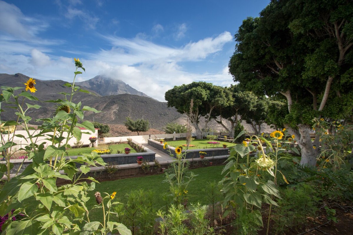 Adeje conmemora el Día de todos los Santos y Fieles Difuntos con actos religiosos, culturales y de tradición popular

Más información: ift.tt/mgYVrUO