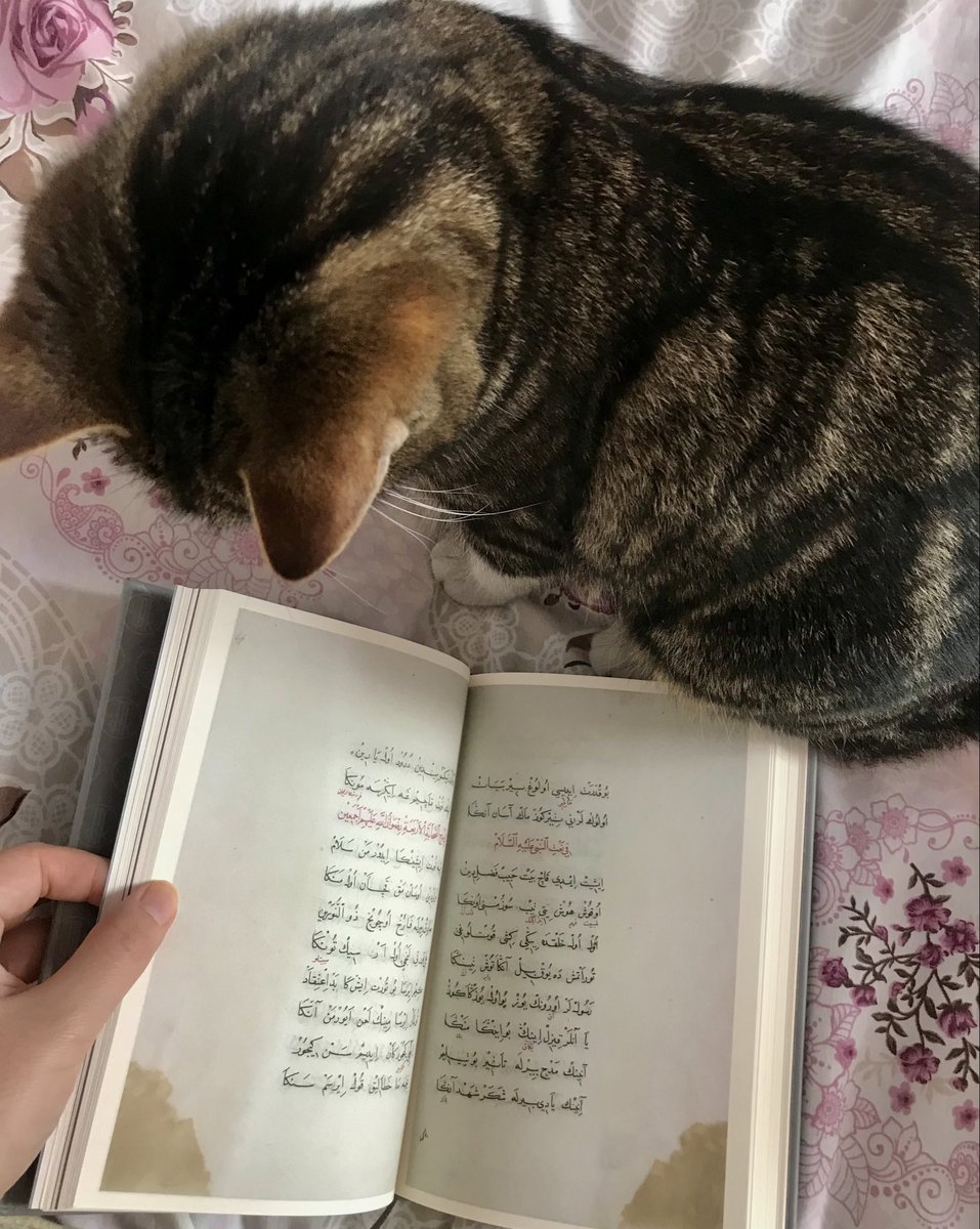 Benimki Atebetü’l Hakâyık falan okuyor