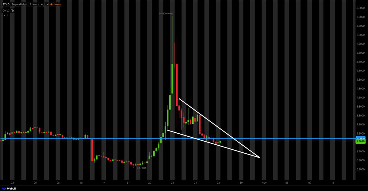 TigerLineTrades's tweet photo. $BYND REVERSING... https://t.co/p75D7OfYM1