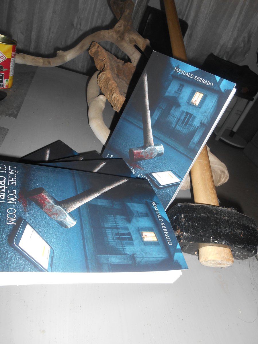 Romuald Serrado (compte auteur-romancier) tweet media