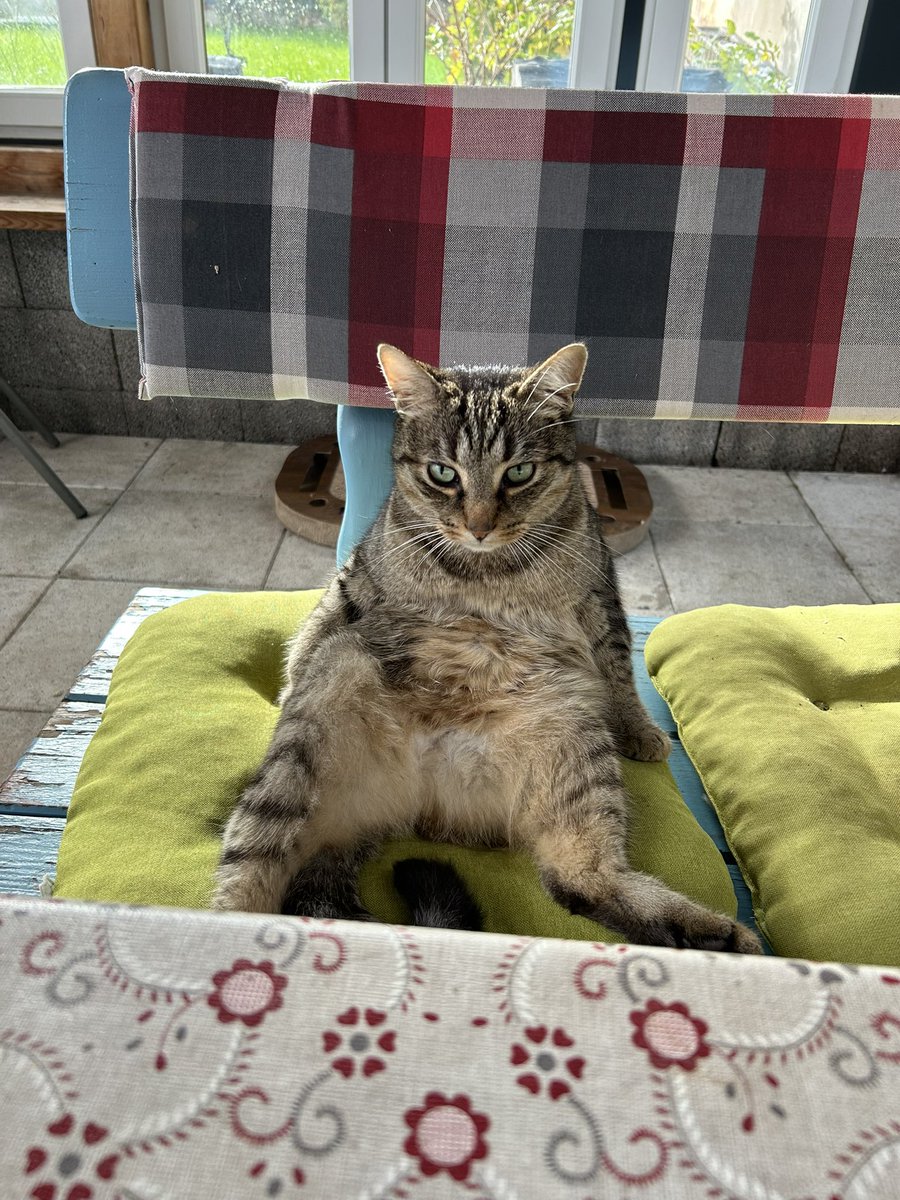 #Yoga