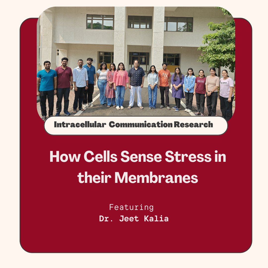 India_Alliance's tweet photo. This week in our #IntracellularCommunication series, we feature Dr. Jeet Kalia, IA Senior Fellow at @iiserbhopal.

He studies how changes in ER membrane lipids trigger stress responses linked to diseases like diabetes and fatty liver.

Read more: https://t.co/Cl0eLagRx3 https://t.co/r9sWA4BHDc