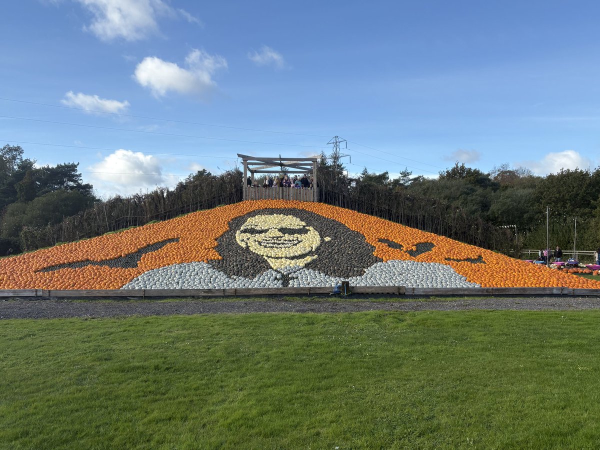 DannyReid1984's tweet photo. Quite the spectacular tribute to Ozzy at Sunnyfields this year https://t.co/DzDnBBLelW
