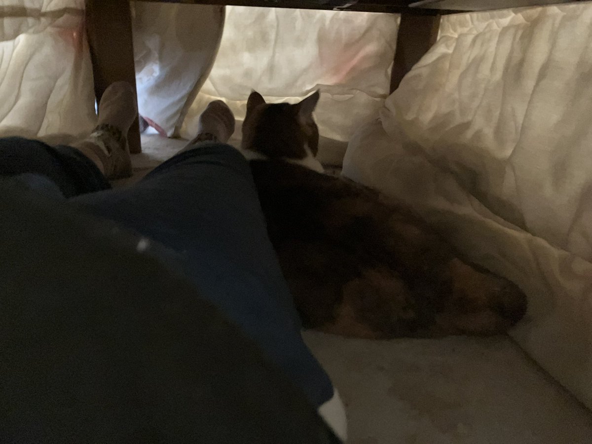 ナナちゃん on X