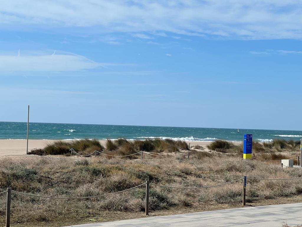 AjCastelldefels's tweet photo. Campaña de retirada de plantas exóticas invasoras en la playa de #Castelldefels

La acción forma parte de una campaña impulsada por el Área Metropolitana de Barcelona (@ParcsplatgesAMB ) en los municipios del litoral barcelonés

+ℹ️https://t.co/fEjElK5Wnt https://t.co/PIEfG7rIiV