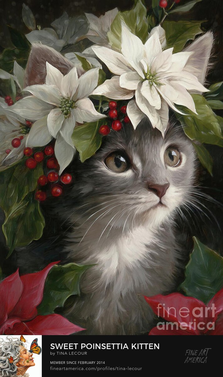 Sweet Poinsettia Kitten...Available here...tina-lecour.pixels.com/featured/sweet…

#Christmas #Cat #Caturday #CatsOfX #CatsLover #CatsOnX #CatsAreFamily #animal #AnimalLovers #ChristmasGiftIdeas #Christmasgift #Christmas2025 #wallartforsale #gifts #giftsforher #giftideas #greetingcards #puzzle