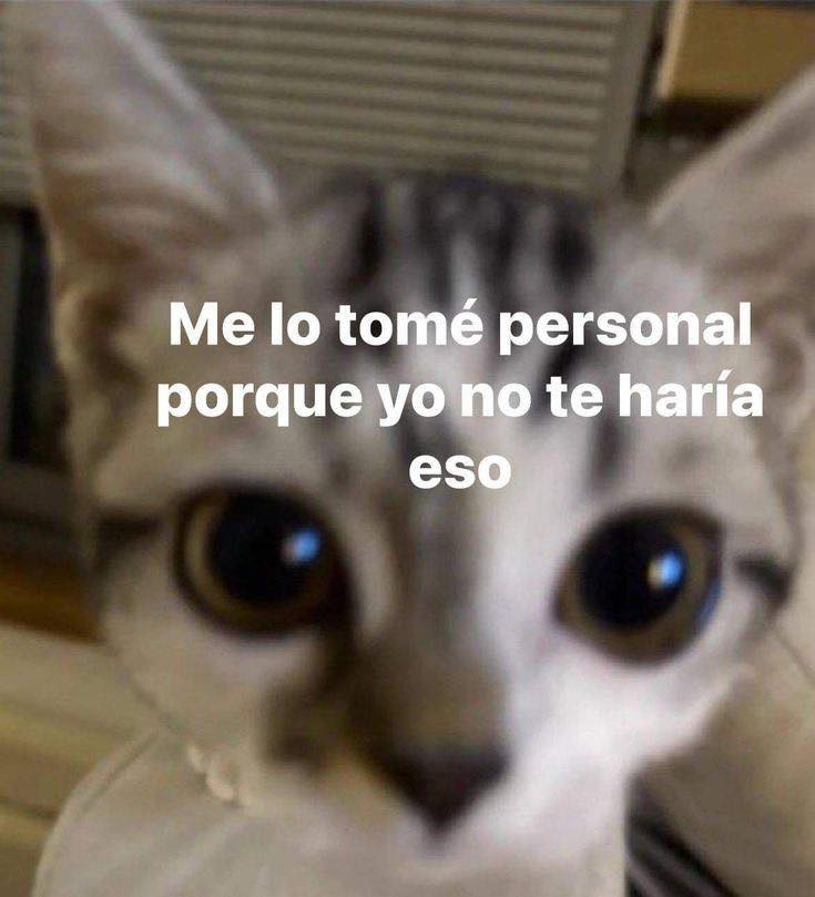 BANDIDOS (@bandidosfrasess) on Twitter photo 