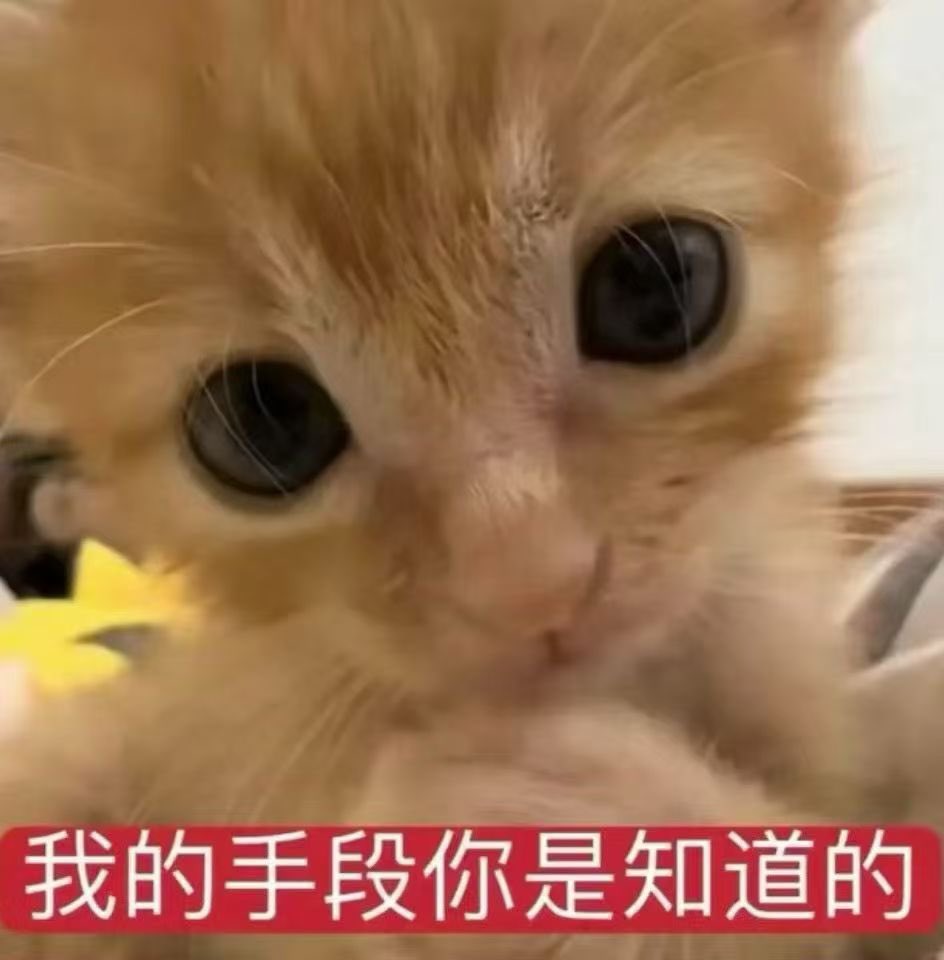 xiao hui tweet media