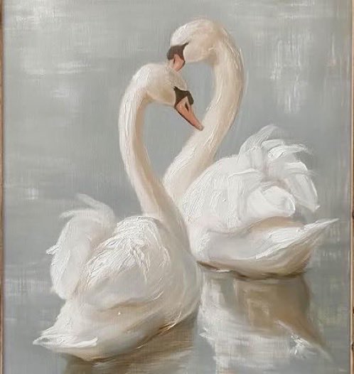 300moods's tweet photo. 🦢 https://t.co/dnNOnPhMkV