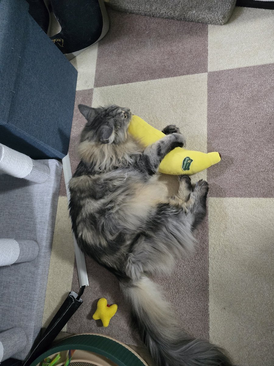 とらやろう🐯C106土曜南s40a on X