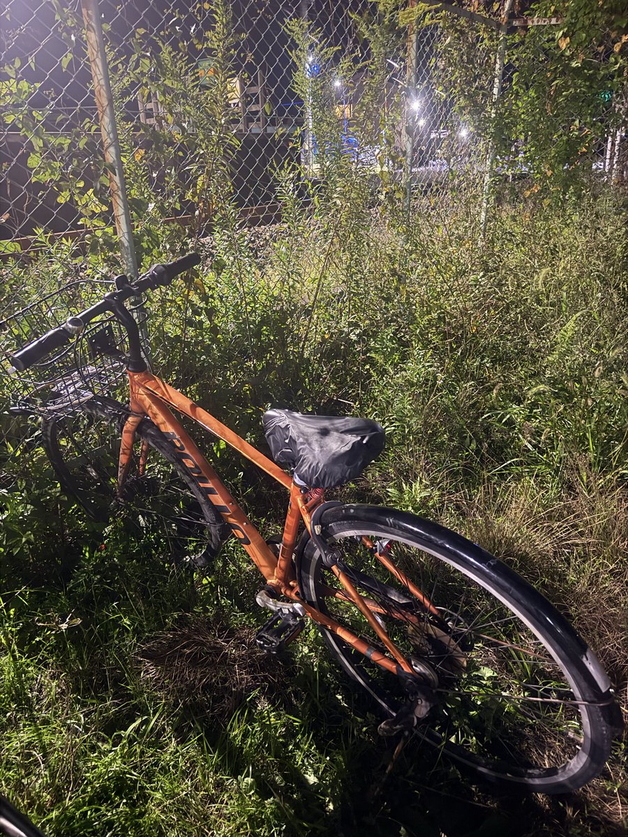 kankanさま専用ページ Amazon.co.jp: SAFEAF-WAN 隠し金庫ダストカバー スチール