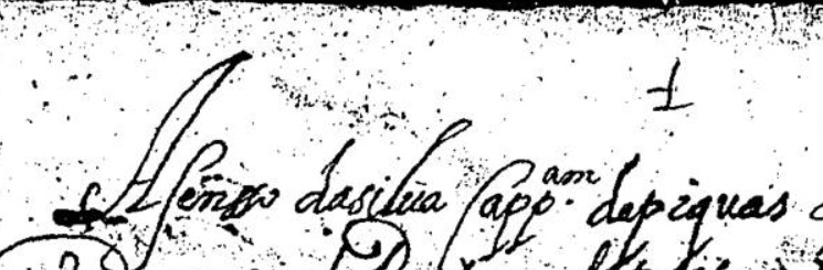 Você tá olhando a documentação e se depara com Afonso da Silva capitão de picas.