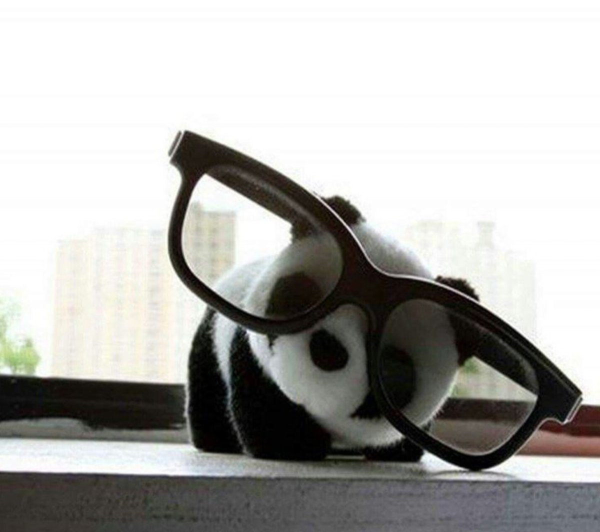 kun as panda tweet media