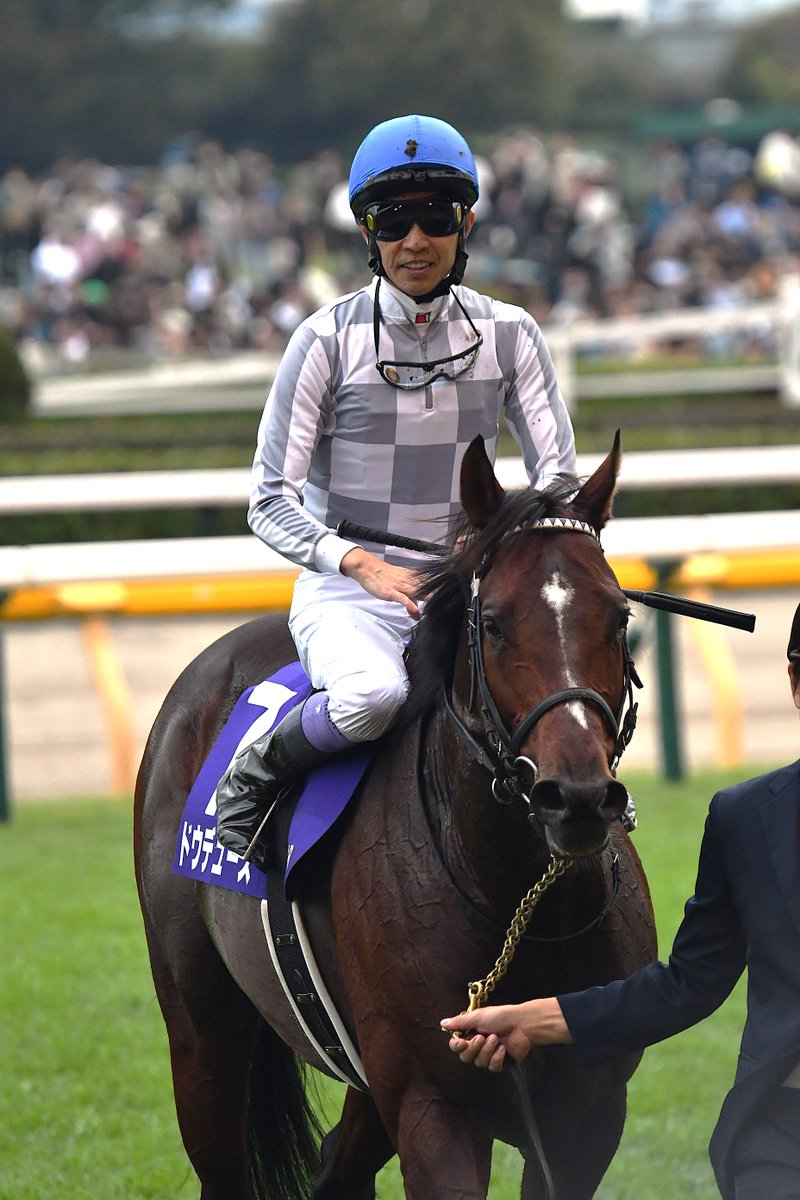 半*リ様 競走馬記念ジャケット ジャスタウェイ 半*リ様 競走馬記念ジャケット ジャスタウェイ 半*リ様 競走馬記念