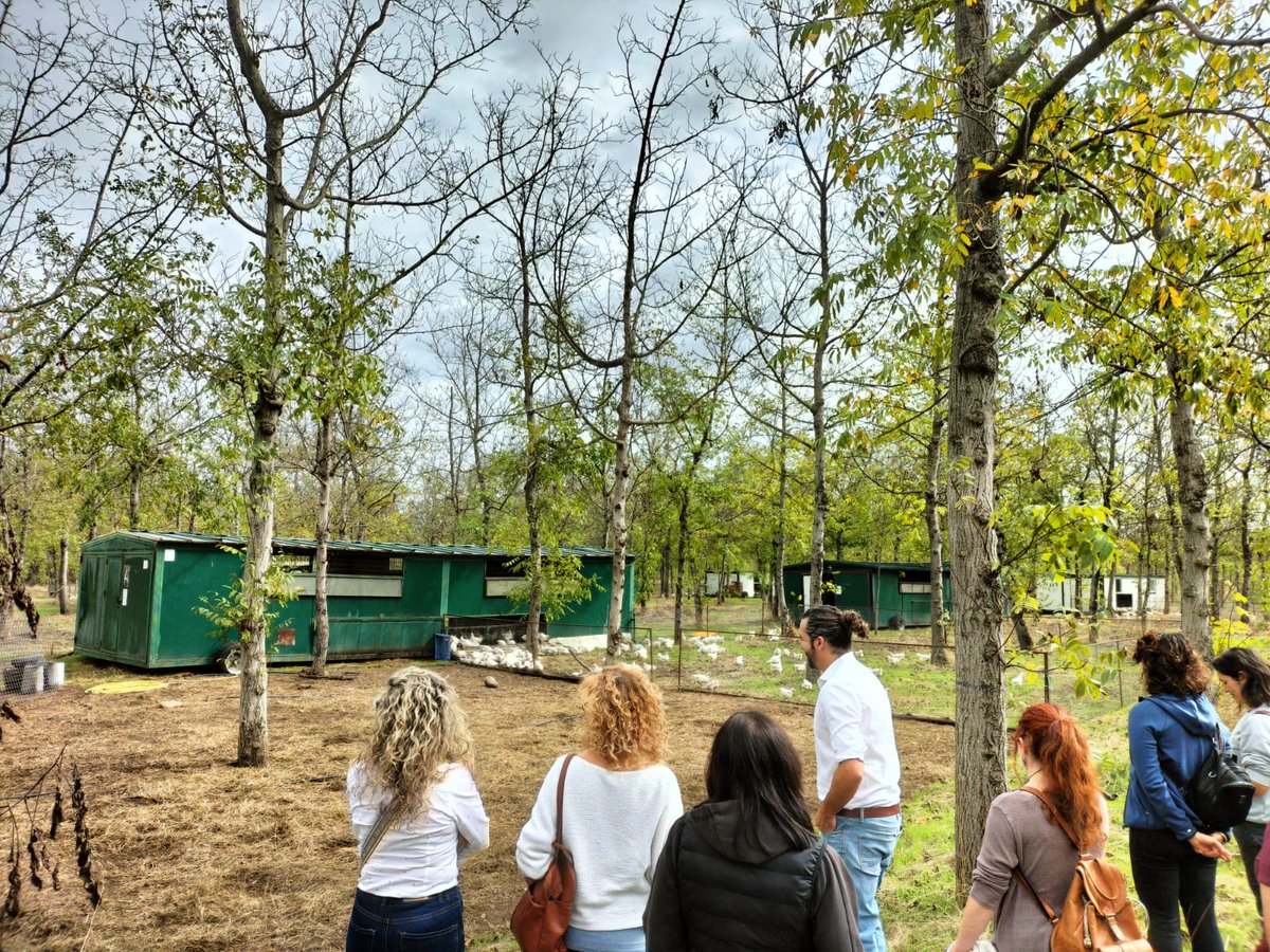 redPAC_'s tweet photo. 🐔HOY la #RedPAC reúne en Villanueva de la Vera (#Cáceres) a alumn@s del taller "Introducción a la agroganadería regenerativa"
🐥La visita ha permitido conocer la finca @GPoultree, pionera y referente en el manejo de pollos y ganado vacuno pastoreados
➕ https://t.co/nGXKxHBJD6 https://t.co/a7AjIDvOz2