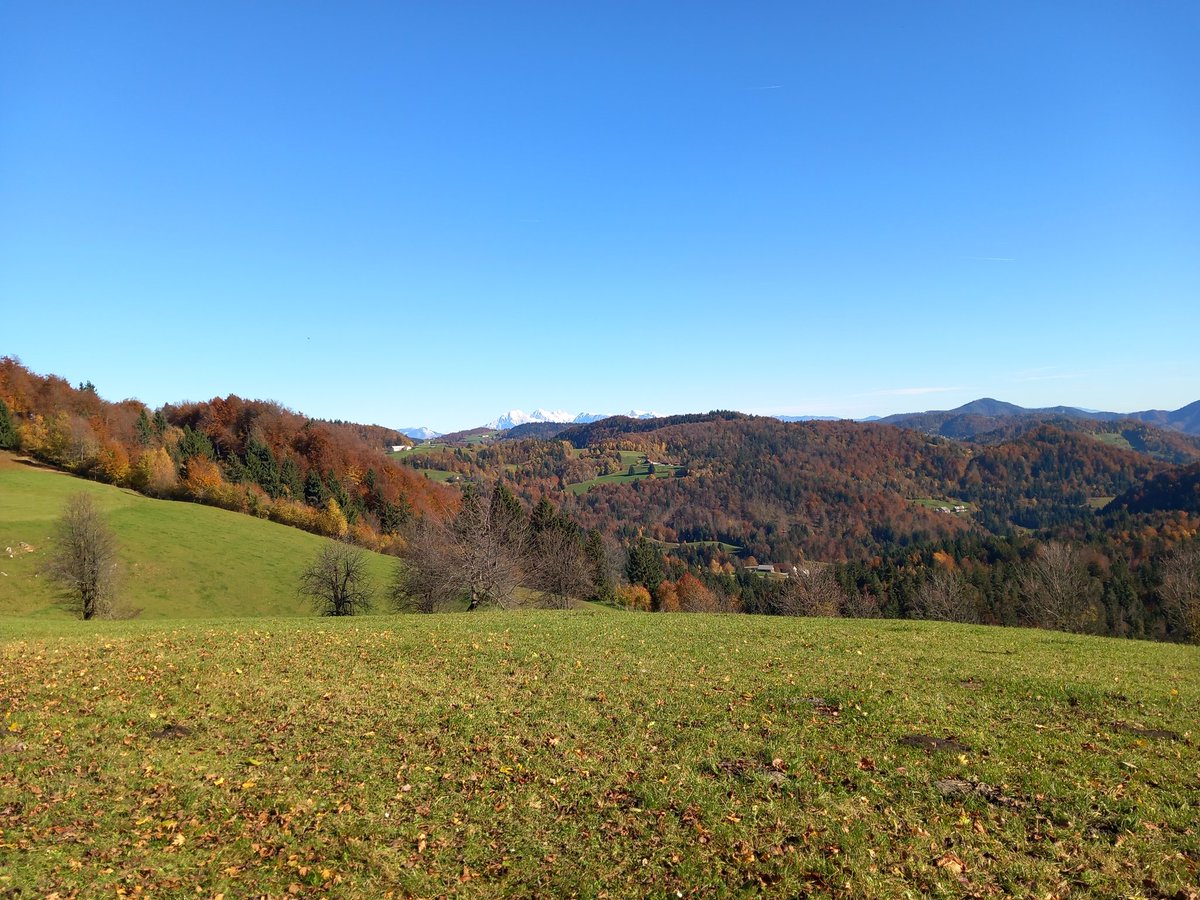 Margu501Marija (@margu501) on Twitter photo 