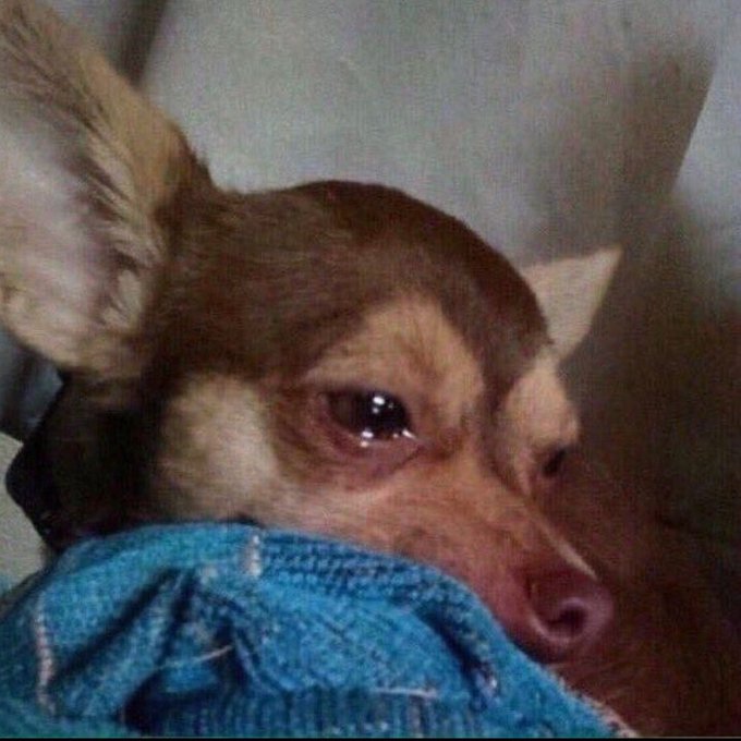 Wait oo, this X algo issues na men e dey against ooo 😭

The thing dey favour girls, well all you've to do as a girl is to create a post with your pic especially yapping.

Note: fine girls only 🤭