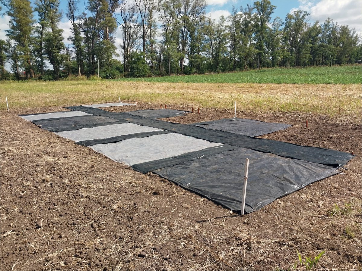 INTA Informa tweet media