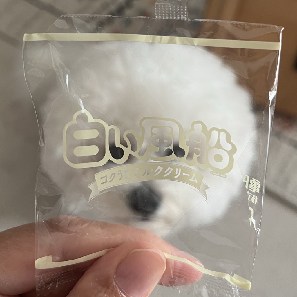 あの時助けていただいた白い風船です