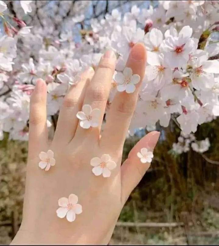 اليك...
وكَيفَ لي أن أعدٍد
أسباب حبي لكَ !!!!
فأنا لا املك سوى...
                اصابعي العشرة.
##همسات_روزي 🌹♥️