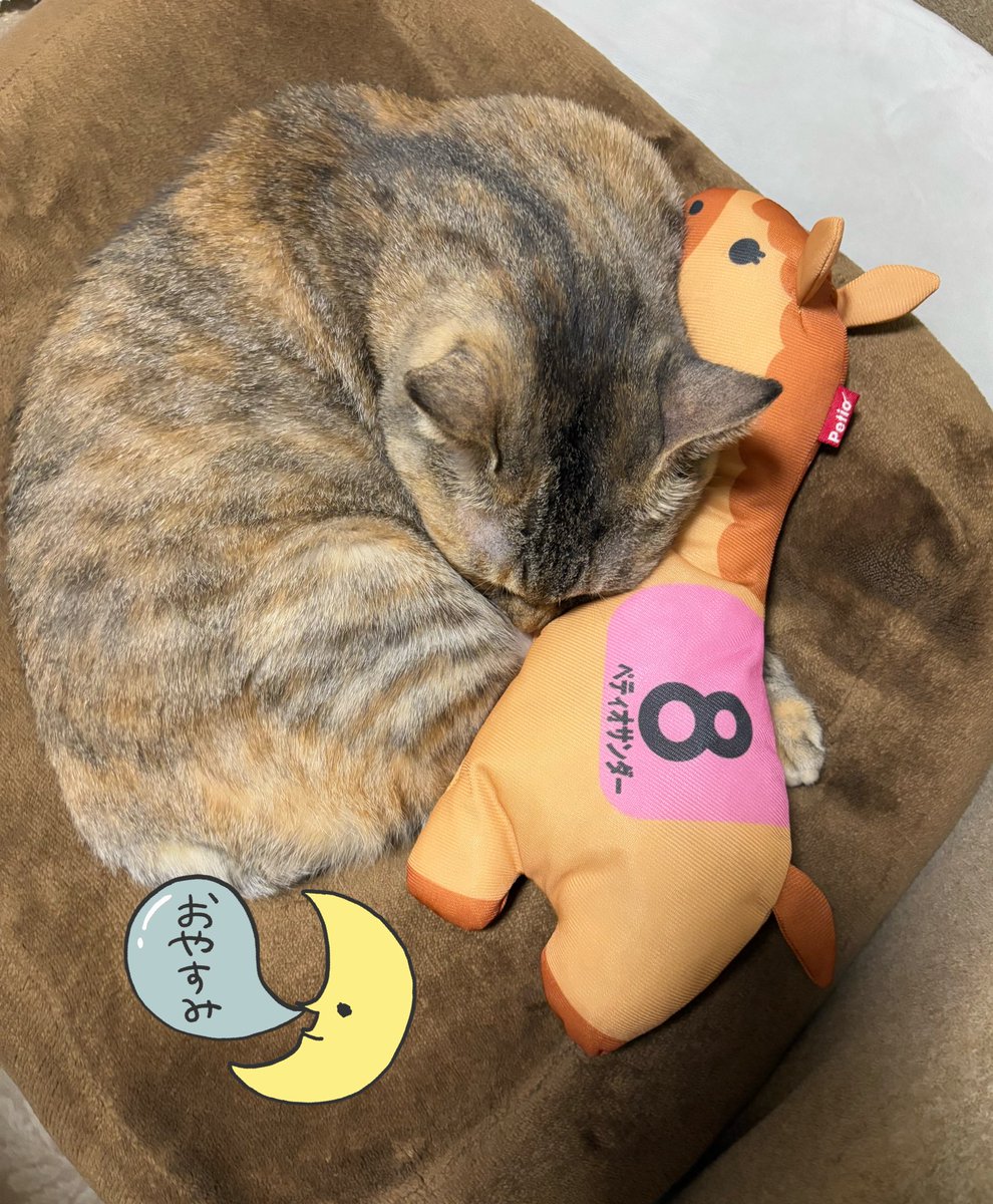 ハルちゃんちのママ on X