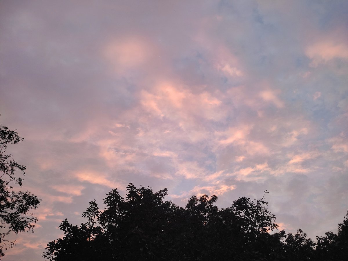 Nature_Era28's tweet photo. Beautiful Pics 💖 https://t.co/R2Tm13JDhI