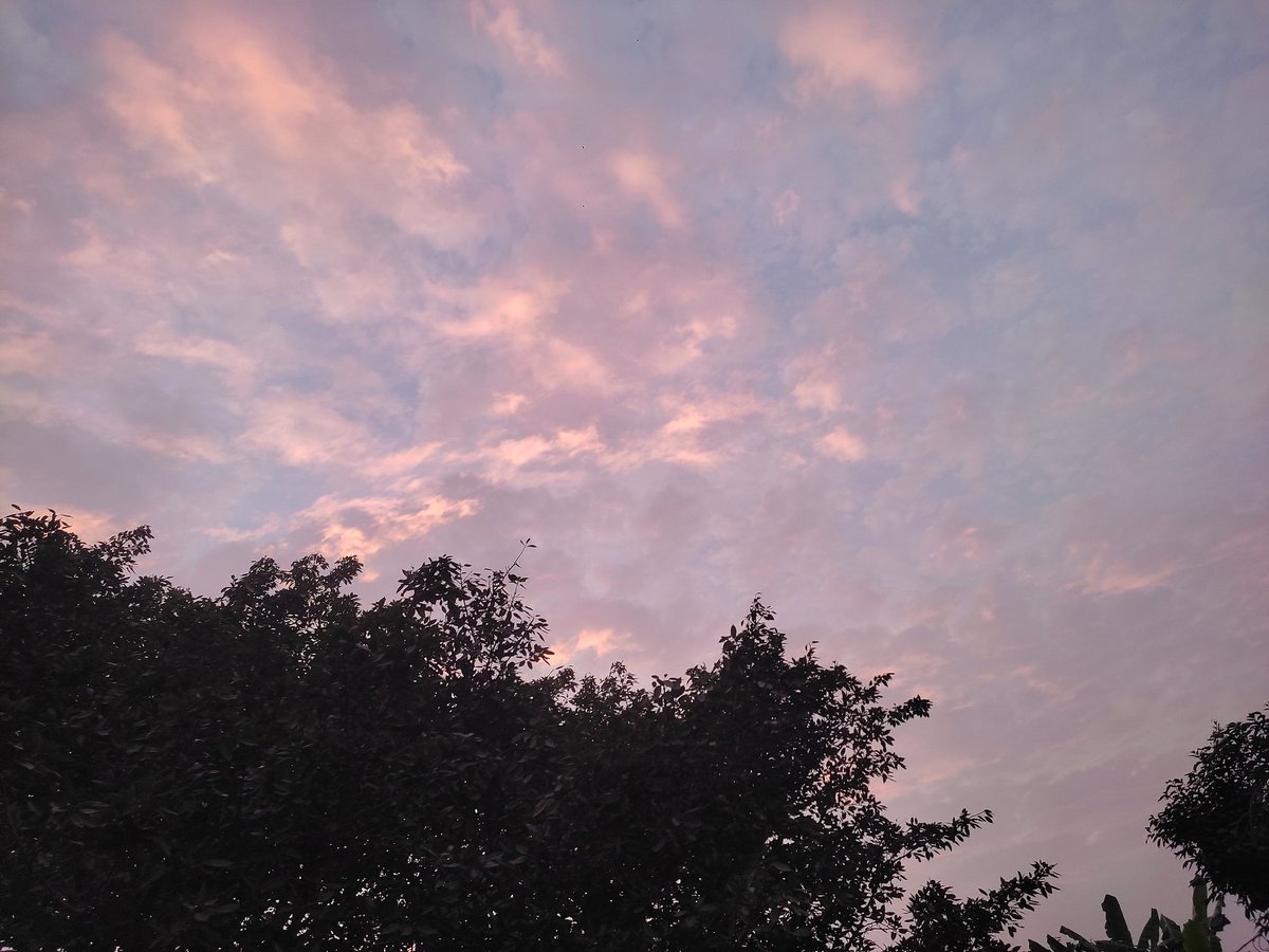 Nature_Era28's tweet photo. Beautiful Pics 💖 https://t.co/R2Tm13JDhI